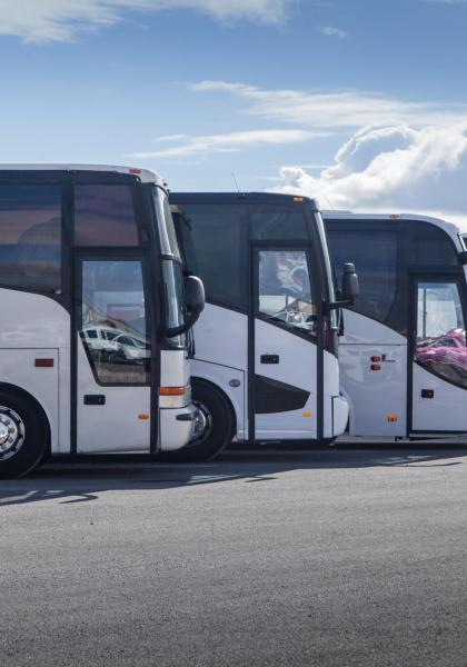 Autobus bianchi parcheggiati in fila sotto un cielo nuvoloso.